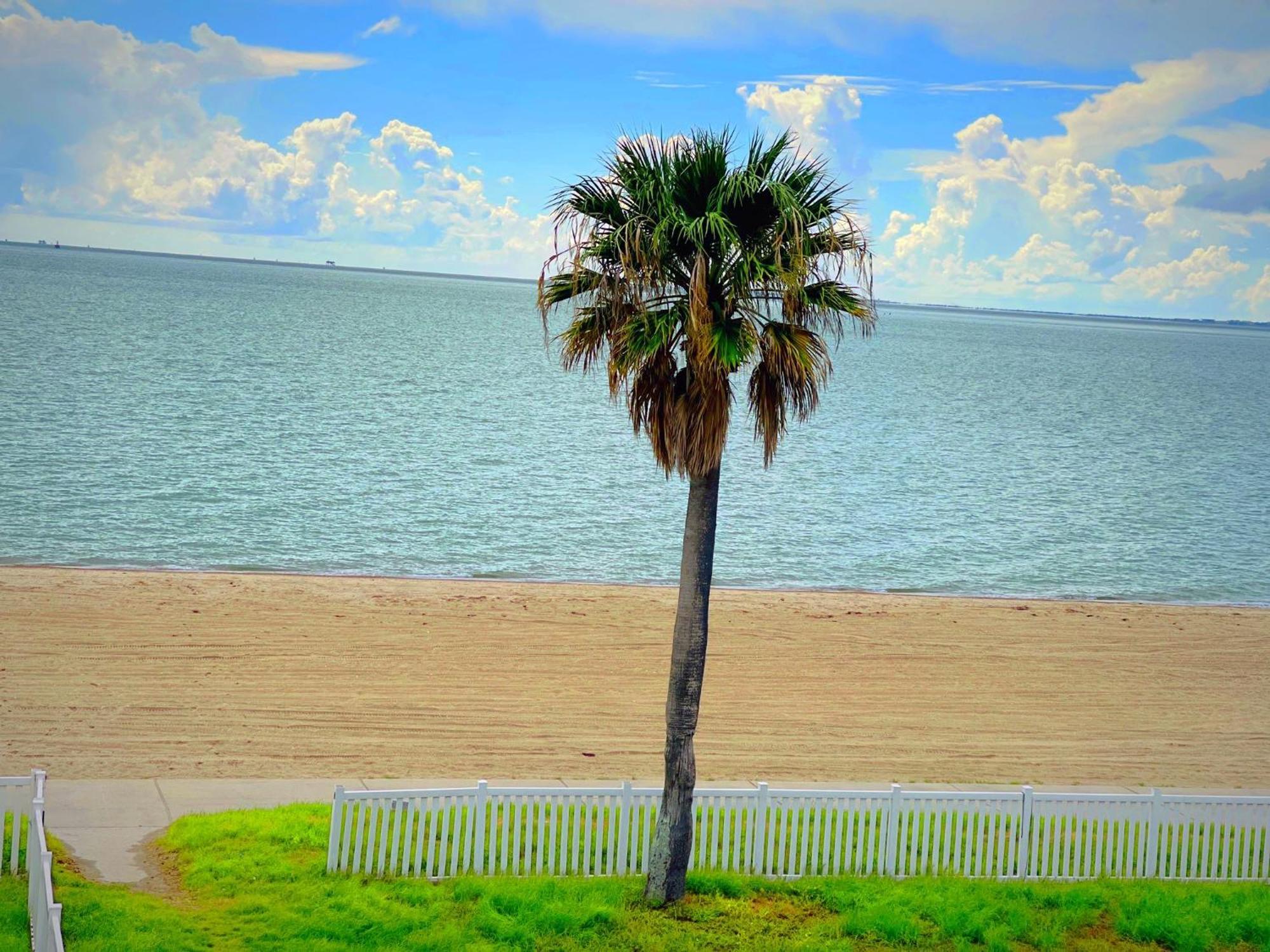 Sea Shell Inn On The Beach Corpus Christi Eksteriør bilde